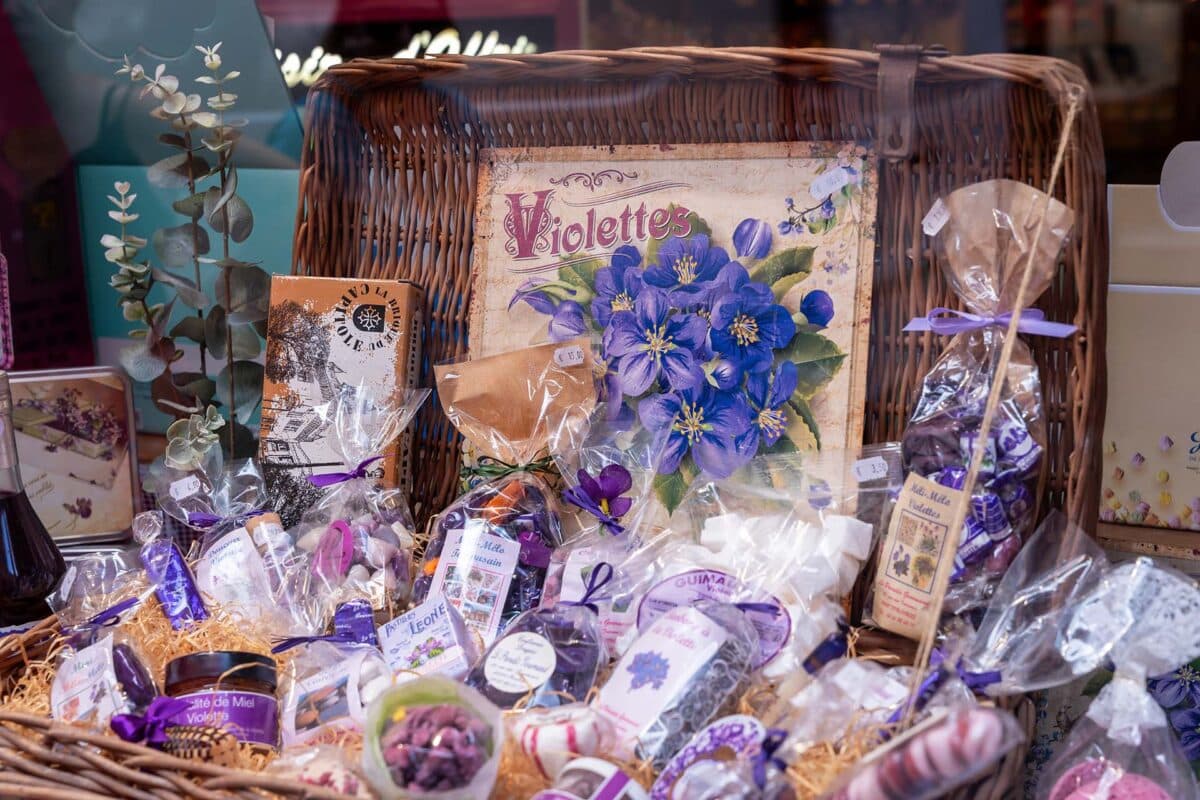 La violette de Toulouse