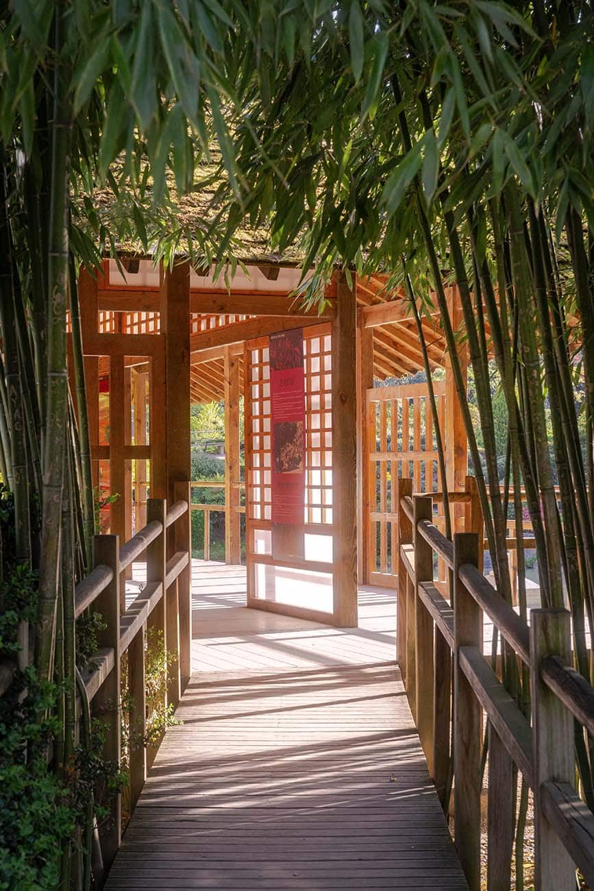 Jardin Japonais